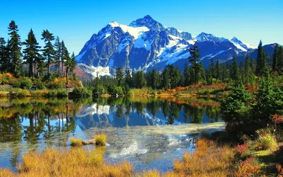 Fall Colours Around a Mountain Pond HD Wallpaper