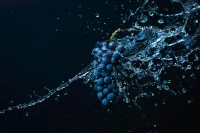 Grapes in a Water Splash on Deep Blue HD Wallpaper