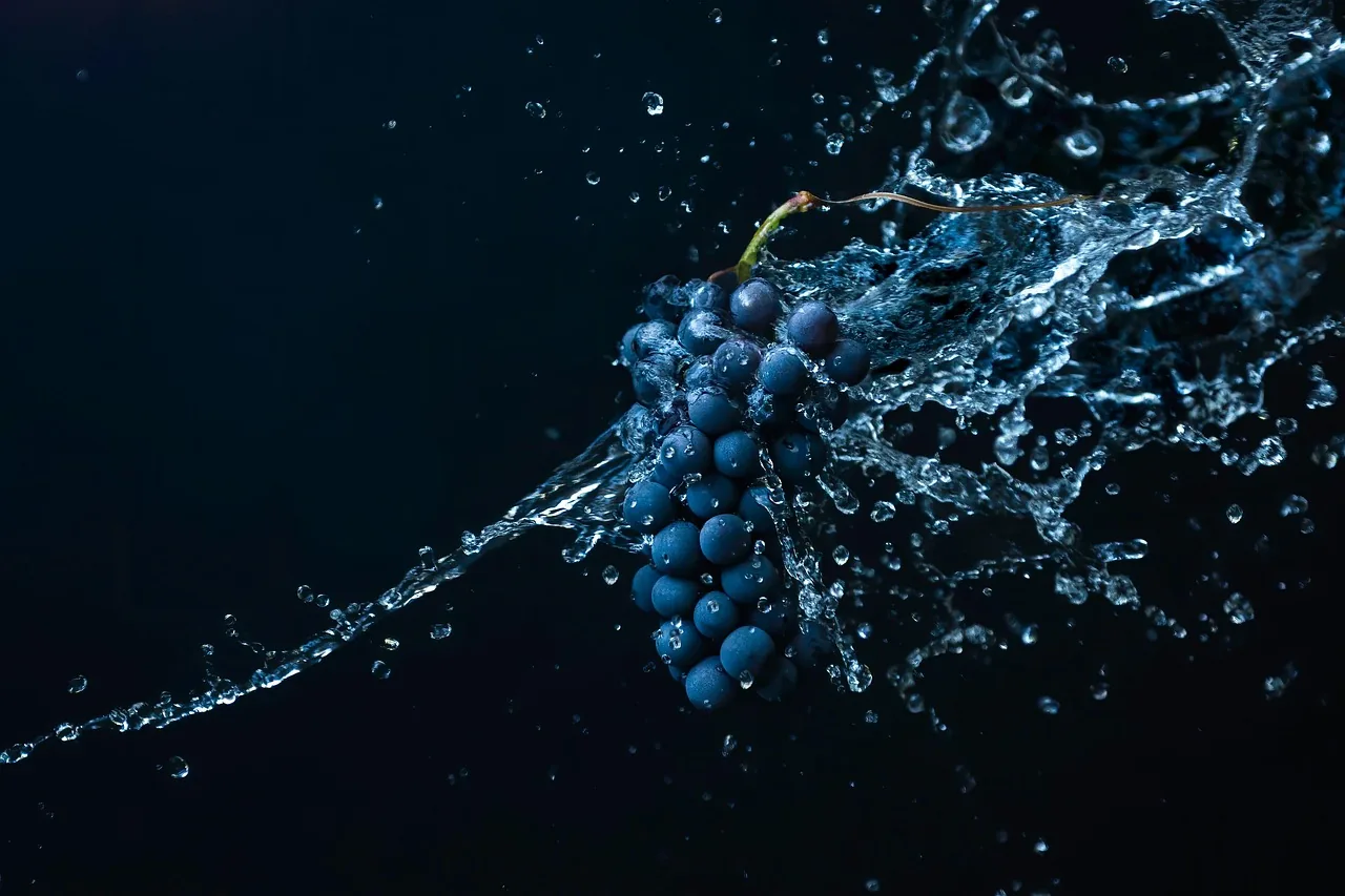 A bunch of dark grapes bursts through a sheet of water, droplets frozen mid-air against a deep blue background with the left side left plain.