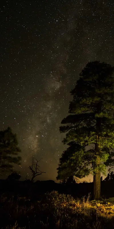Outstanding 4k wallpaper vertical You Can It free