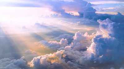 Sunbeams over a Sea of Clouds HD Wallpaper