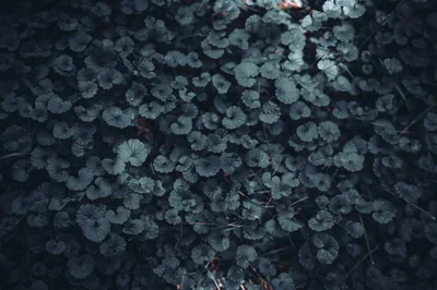 Dark Theme Wallpaper Photos, The BEST Free Dark Theme Wallpaper Stock Photos &