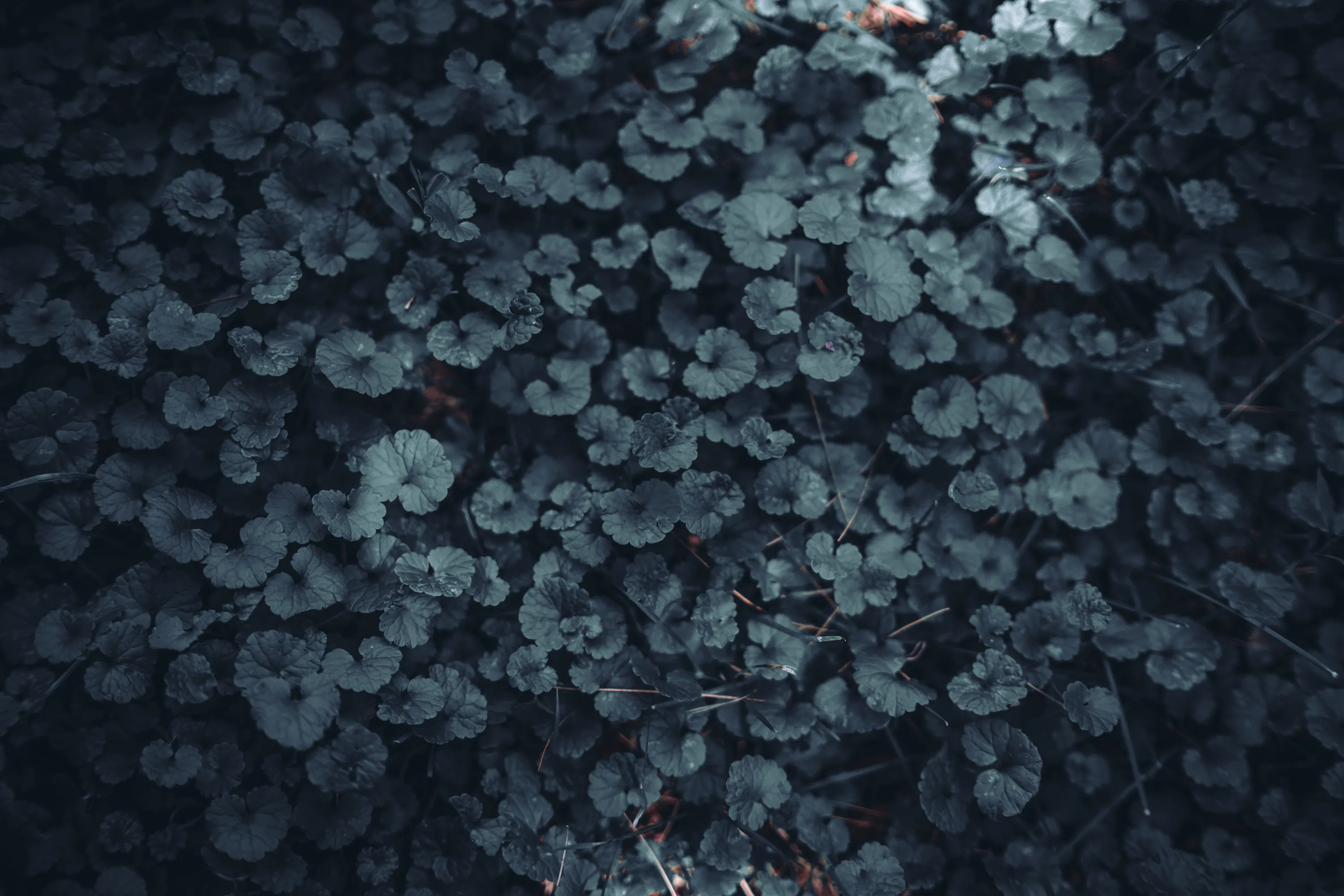 Dark Theme Wallpaper Photos, The BEST Free Dark Theme Wallpaper Stock Photos &