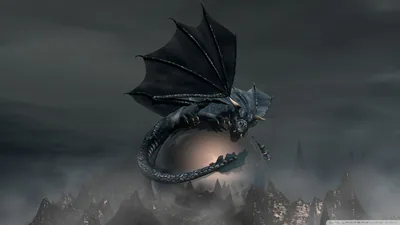 Black Dragon Wallpapers