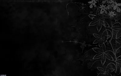 White Line Flowers on Black HD Wallpaper