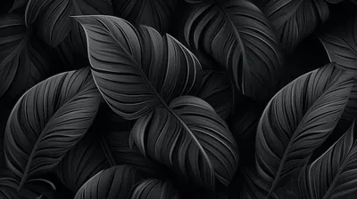 Large Black Leaves Close-Up HD Wallpaper
