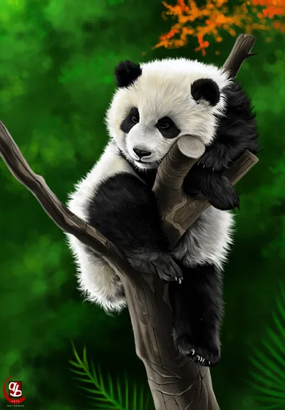 Panda Phone Wallpapers Free 4K & HD