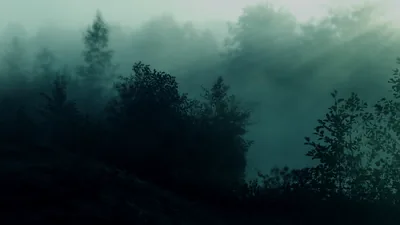 Fog Rolling Over a Dark Treeline HD Wallpaper