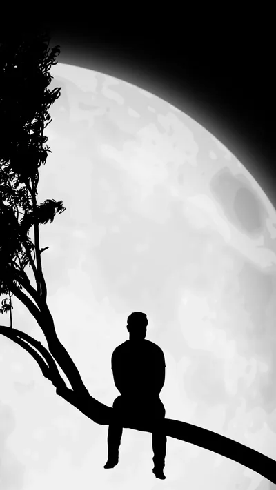 Tree Branch Silhouette Against the Moon HD Phone Wallpaper