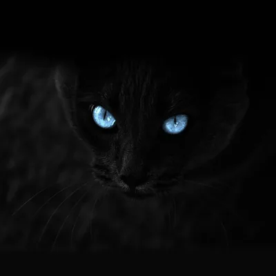 Free 3440 1440 wallpapers for your computer, 3440 1440 backgrounds and pictures
