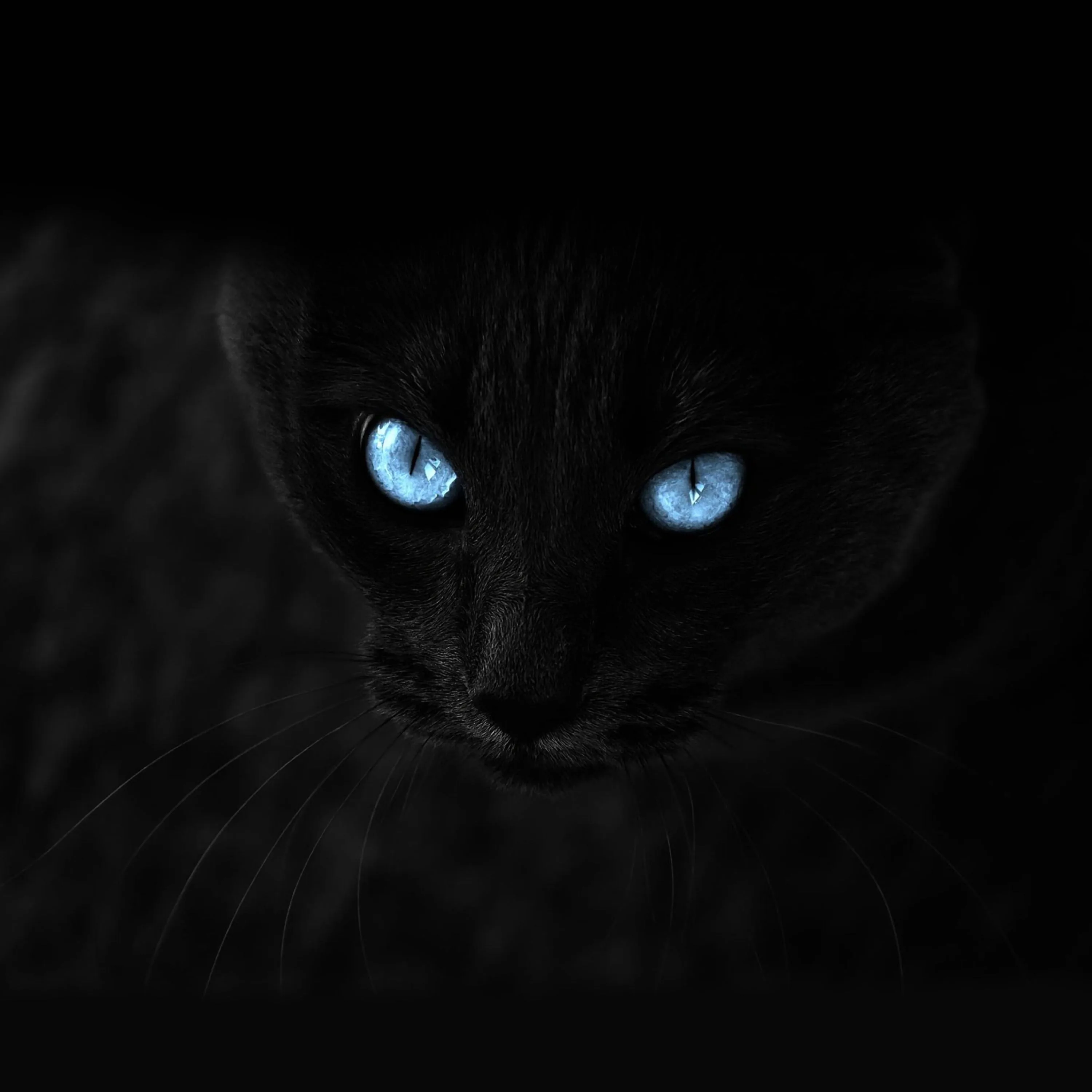 Free 3440 1440 wallpapers for your computer, 3440 1440 backgrounds and pictures