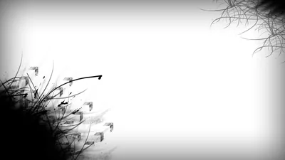 White Black Wallpapers
