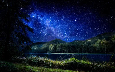 Forest Lake Under the Milky Way HD Wallpaper