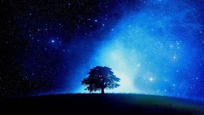 Lone Tree Under Blue Starry Sky HD Wallpaper