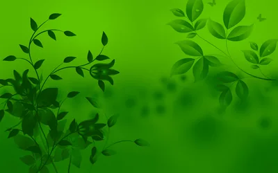 Green Wallpapers HD