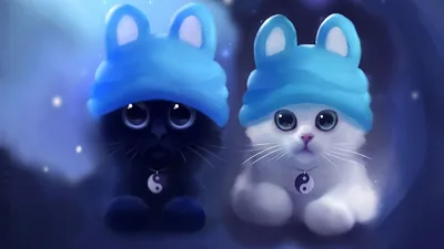 White Black Cute Kittens Wallpaper, HD Animals 4K Wallpapers, Images and Background