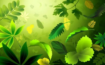 Green Wallpapers Green Backgrounds