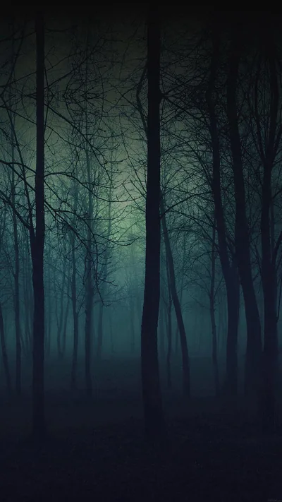 Bare Trees in Green Mist HD Phone Wallpaper