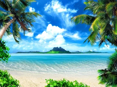 Palm Trees Framing a Tropical Island HD Wallpaper
