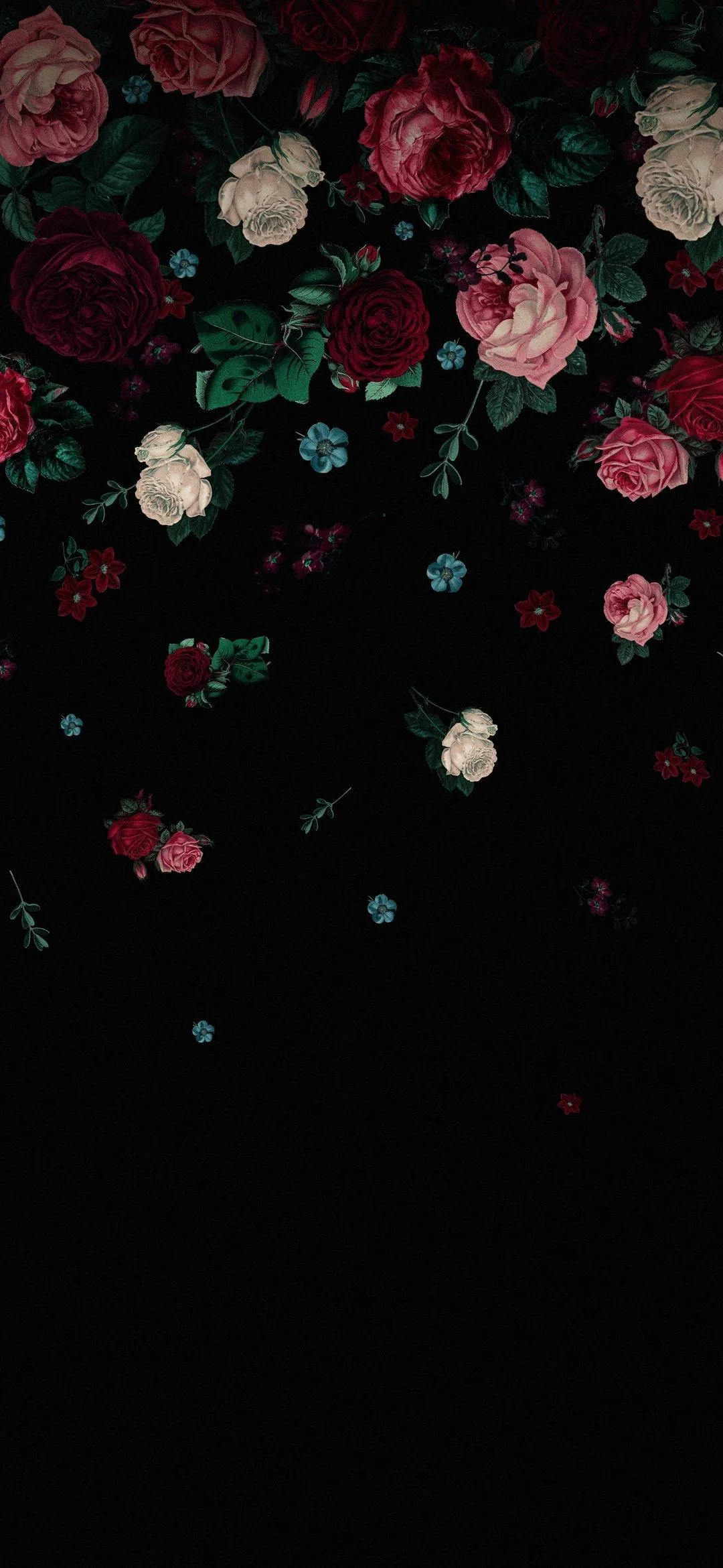 Flowers Photography Wallpaper