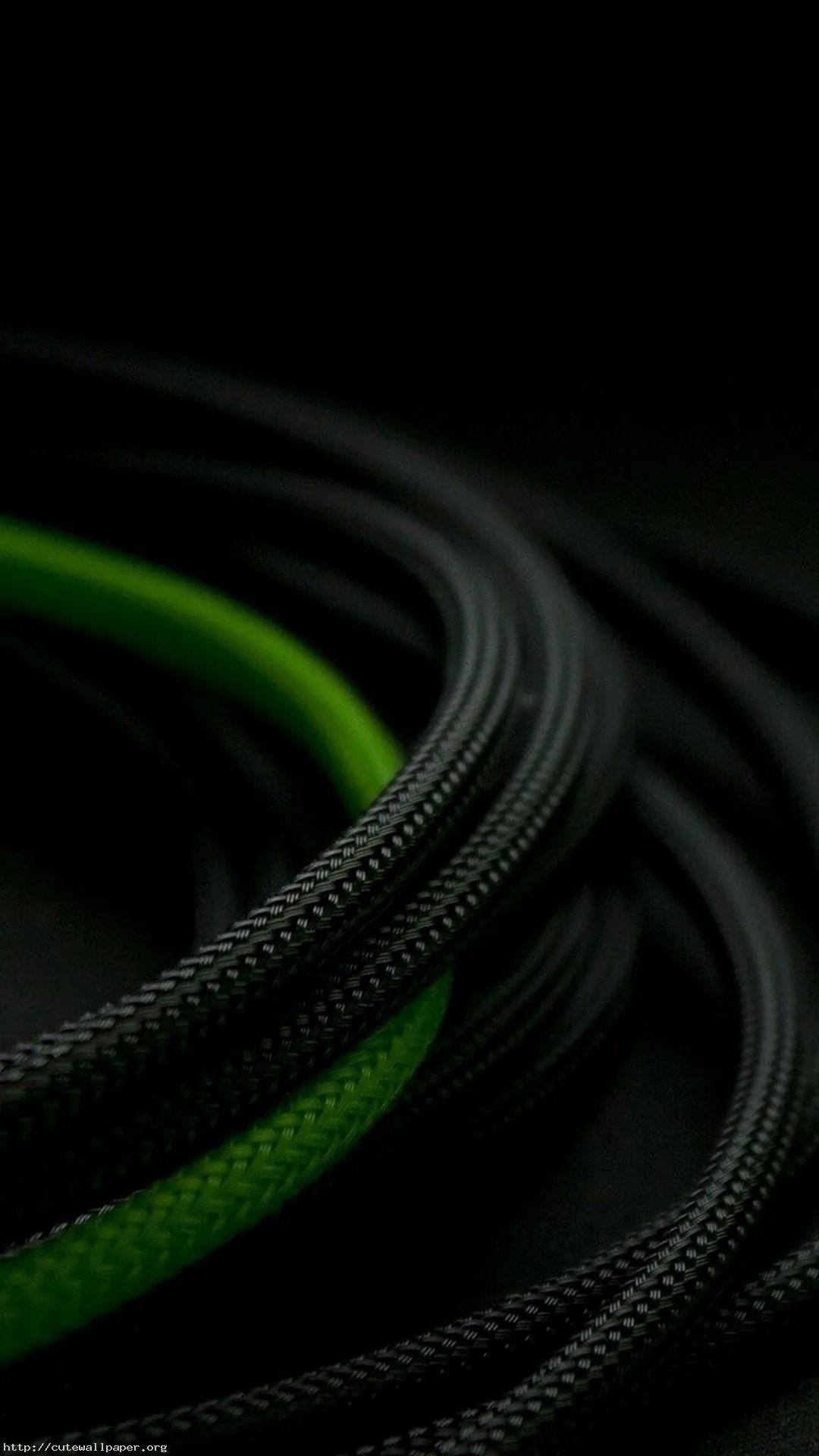 Sleeved black cables curve across the frame in loose parallel, one green braid running underneath and catching the light.