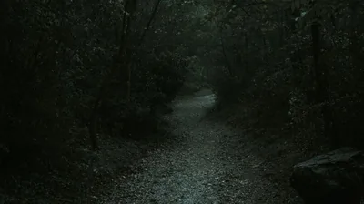 wallpaper forest, path, dark, gloomy, nature tablet, laptop hd backgr
