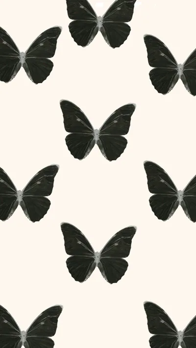 Butterfly Wallpaper for Phone
