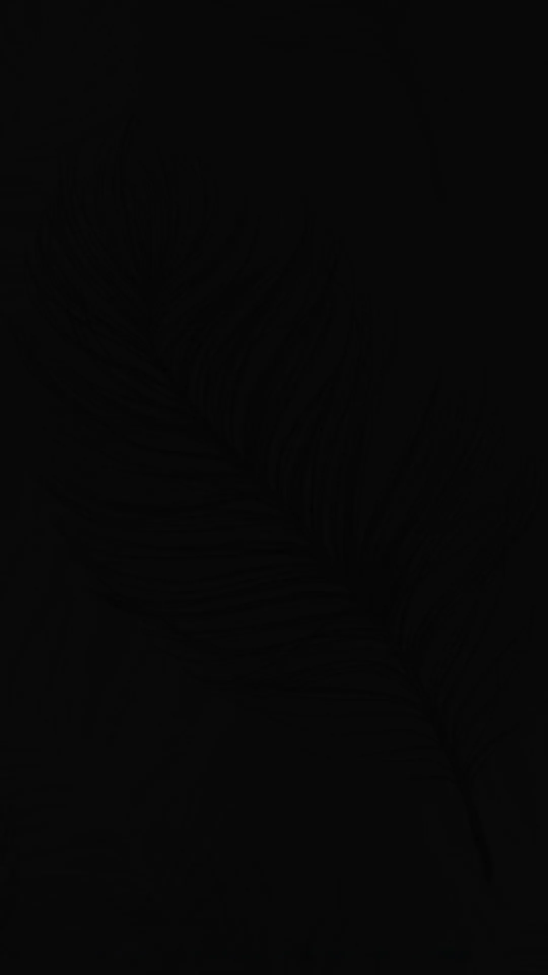Top 19 Best Solid Black iPhone Wallpapers
