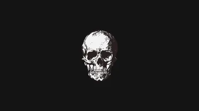 White Skull Facing Forward on Black HD Wallpaper