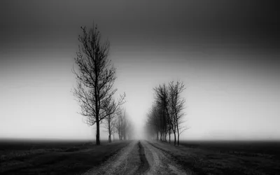 Foggy Country Road in Monochrome HD Wallpaper