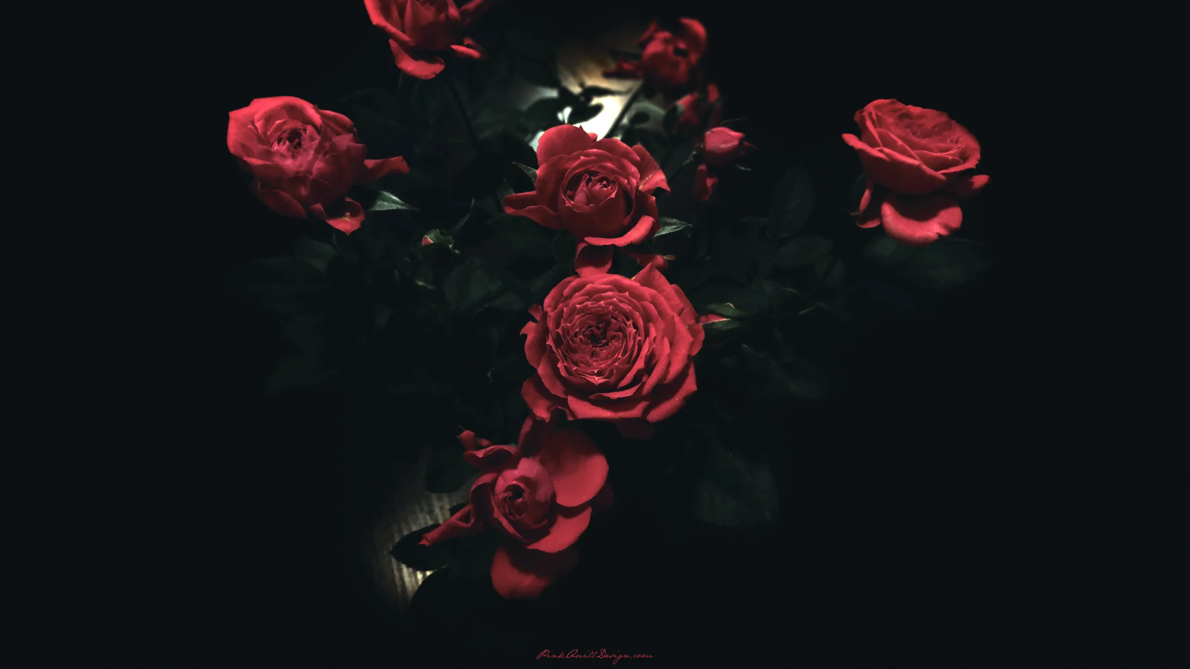 Black Roses Wallpaper Tumblr