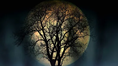 High Resolution Dark Wallpapers High Resolution Dark