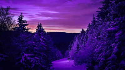 Violet PC Wallpapers 4k, HD Backgrounds