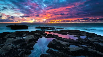 Volcanic Rocks and Purple Tide Pools HD Wallpaper