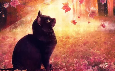 Black Art Background