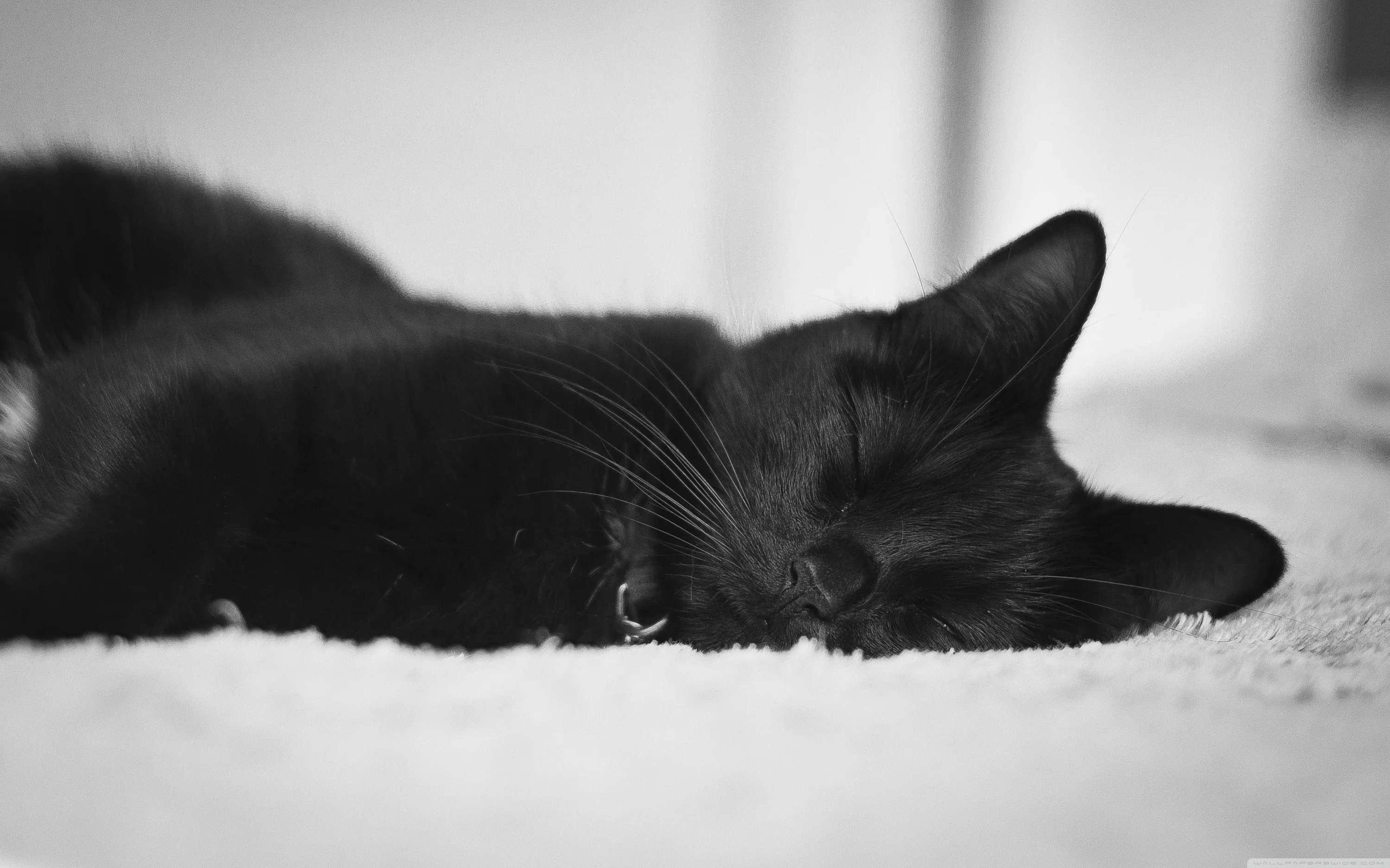 Cute Black Backgrounds