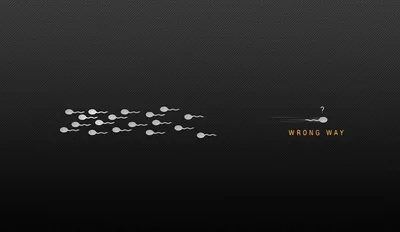 One Fish Going the Wrong Way HD Wallpaper