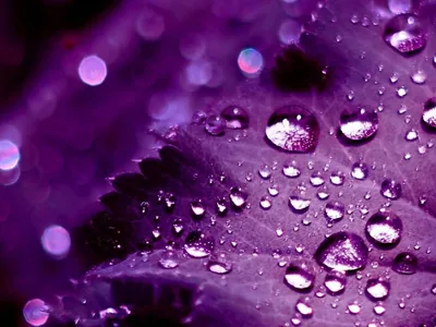 HD Purple Desktop Wallpapers HD Purple Desktop Backgrounds