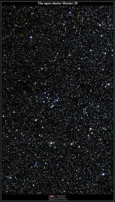 Cute Black Glitter Background