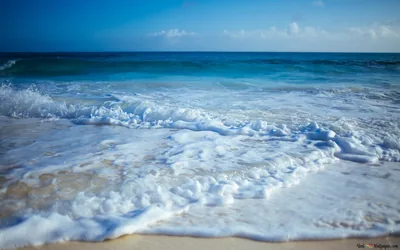 Thick Sea Foam on Wet Sand HD Wallpaper