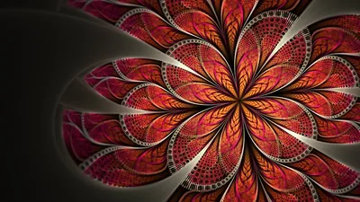 Ornate Red Fractal Flower HD Wallpaper