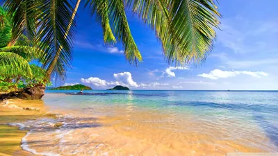 Tropical Beach Wallpapers Tropical Beach Backgrounds