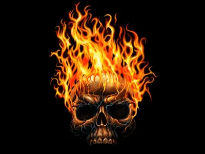 Burning Skull in Orange Flame HD Wallpaper