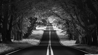 Road Landscape, Aesthetic, Black and White 4K UHD Wallpaper for UltraHD Desktop and TV