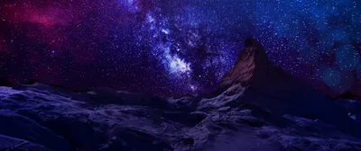 Purple Night