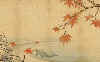 Elegant Japanese Koi beneath Autumn Maple