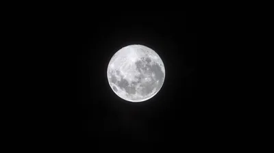 Dark Night Moon