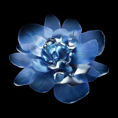 Blue Metallic Flower on Black HD Wallpaper