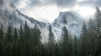 Half Dome Rising Above Misty Pines HD Wallpaper
