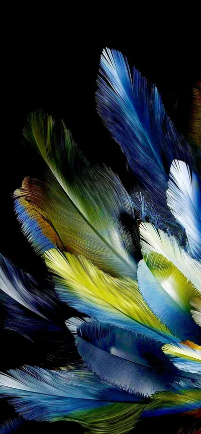 Colorful Feathers iPhone Wallpaper